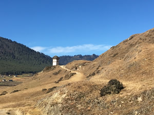 Stupa im Phobjikha-Tal