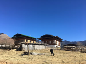 Farmhaus im Phobjikha-Tal