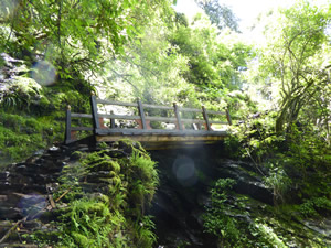Holzbrücke auf dem Wanderweg im Tang Valley